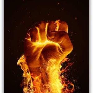 Meet your Posher, Bridgette